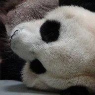 溫柔天使