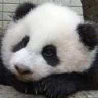 娜貝拉