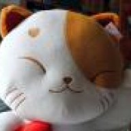 發呆中的喵