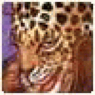 PAULAXIX