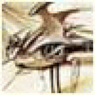 jefiiquklnllp