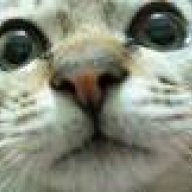 Ole