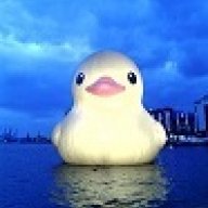 Wait_night