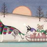 huskymilk