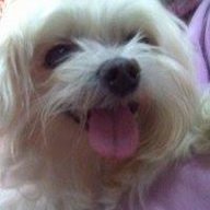 vickymomo