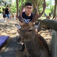 大盜寒不柱