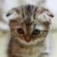 chanchanngng1234