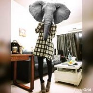 林寶兒