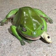 十埃以內的束縛