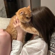 cat貓蟲