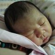 小小初學者